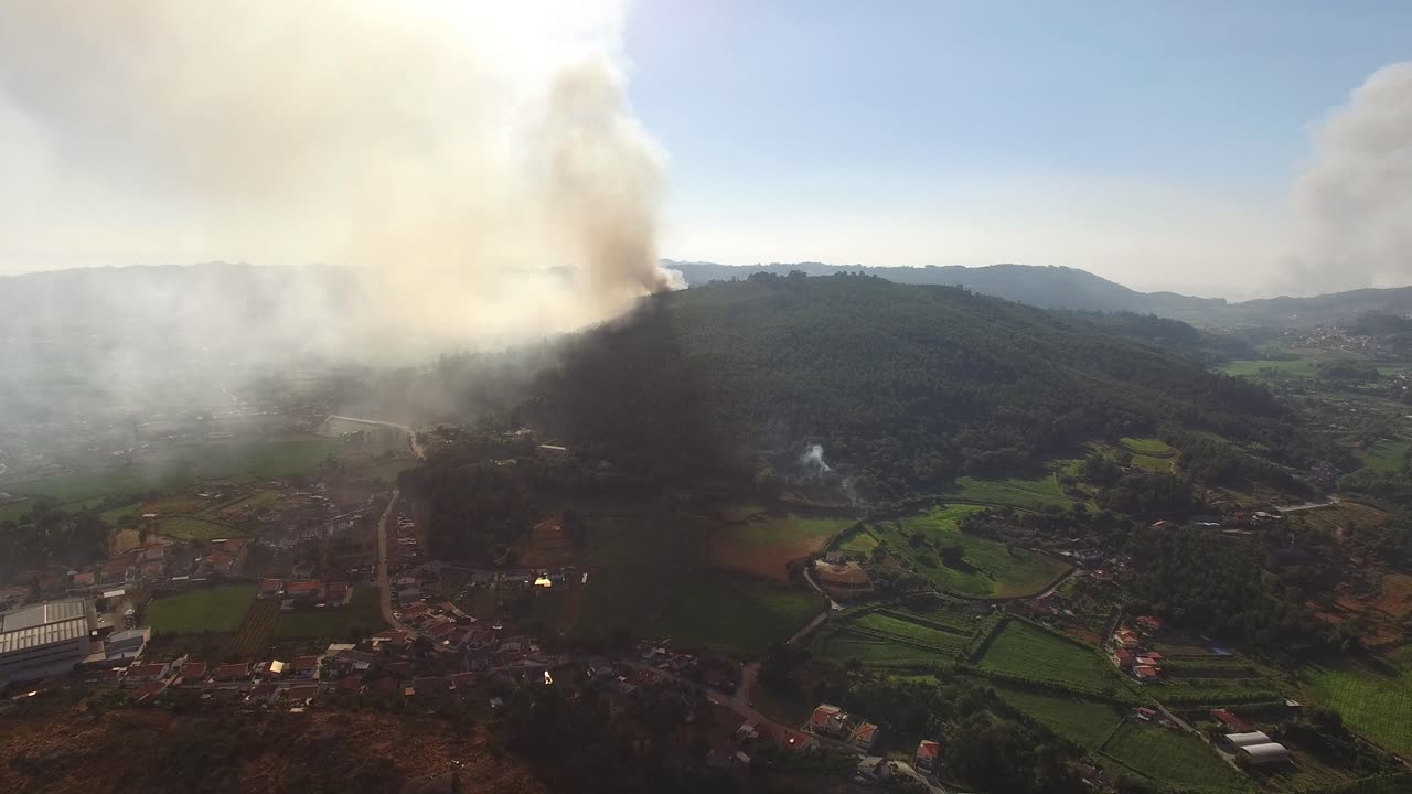 Volo su un incendio nella foresta.
