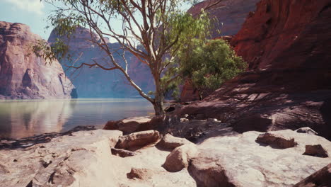 serene canyon river landscape