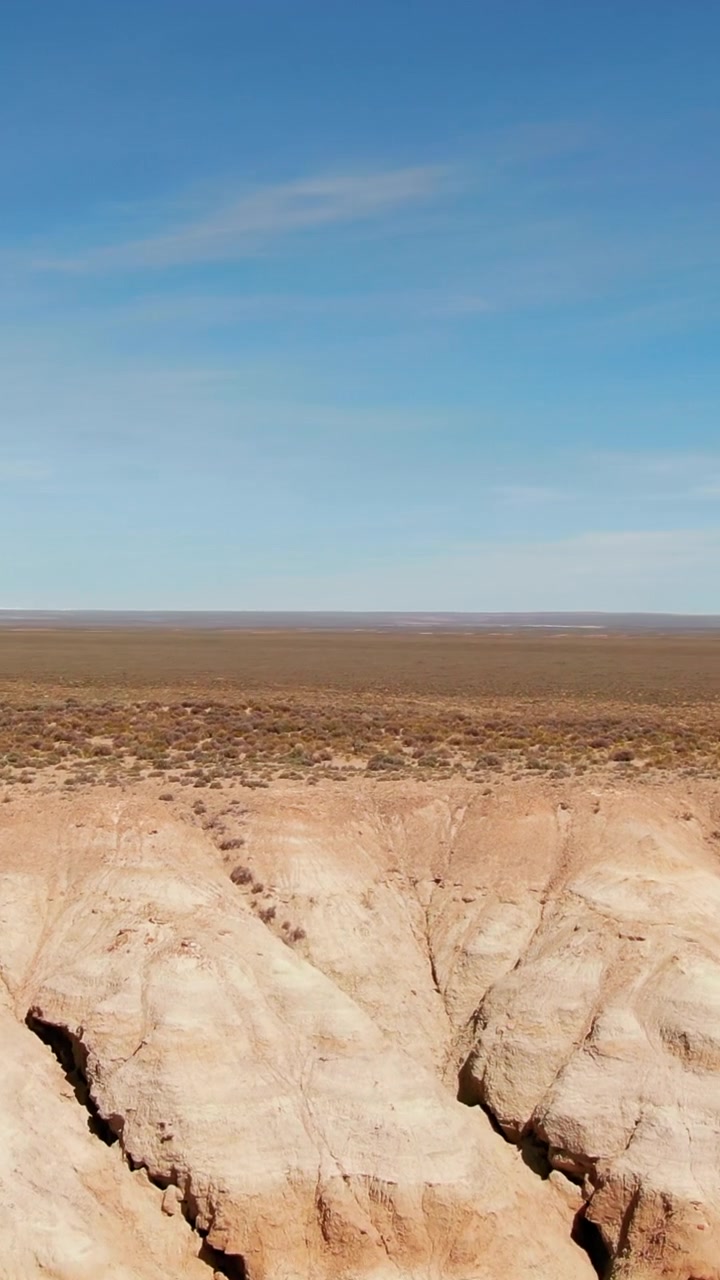 Ripresa verticale di una vasta pianura desertica che si estende verso colline aspre sotto un cielo azzurro e limpido. Ideale per documentari naturalistici o contenuti per i social media.