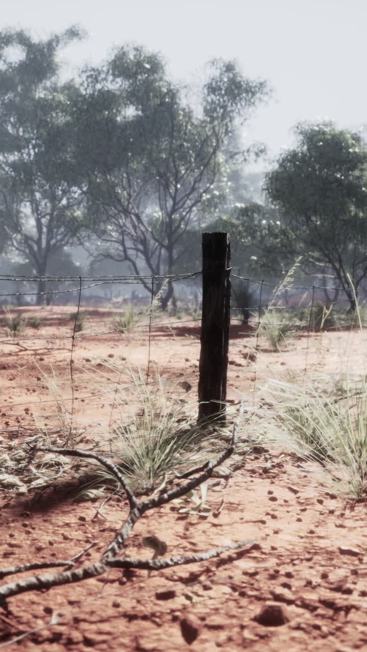 레드 더트 아웃백