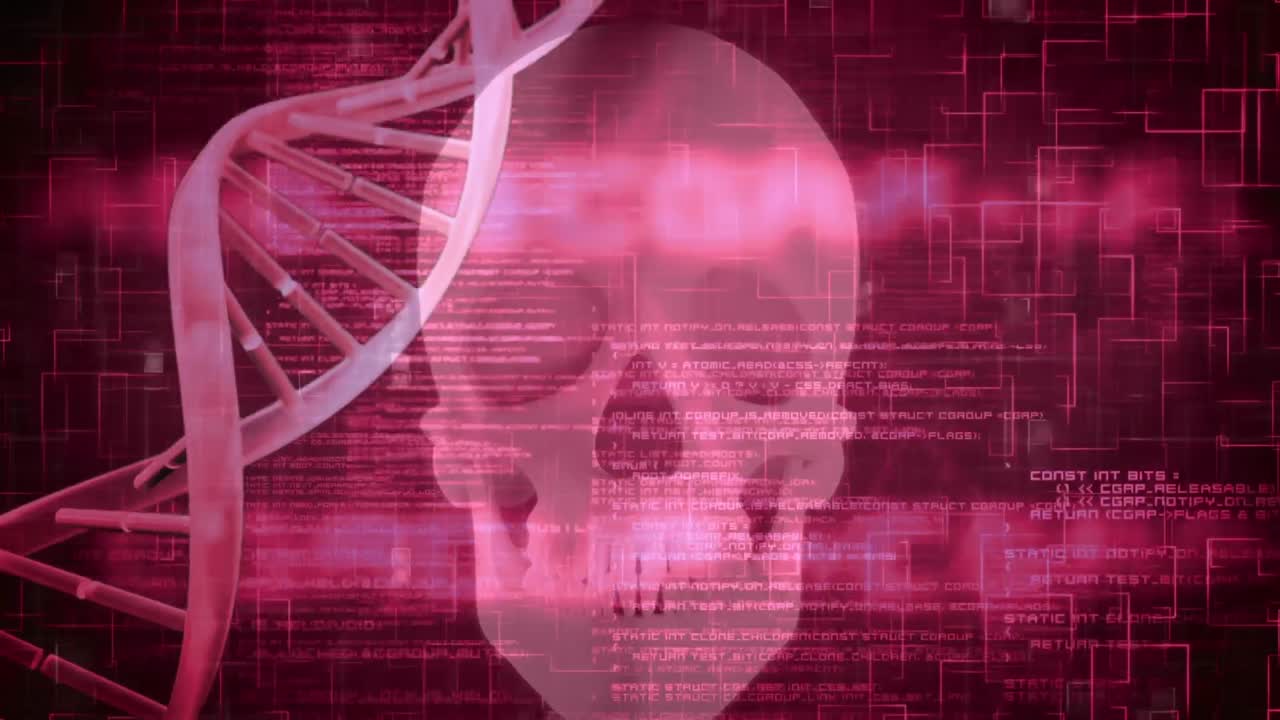 3d 분홍색 dna 가닥 회전 및 두개골에 대한 데이터 처리 애니메이션