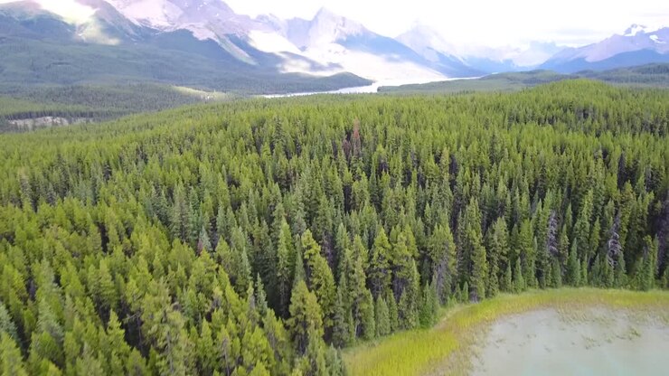 Splendida ripresa aerea del paesaggio di montagne e fiumi canadesi, Columbia Britannica, Canada