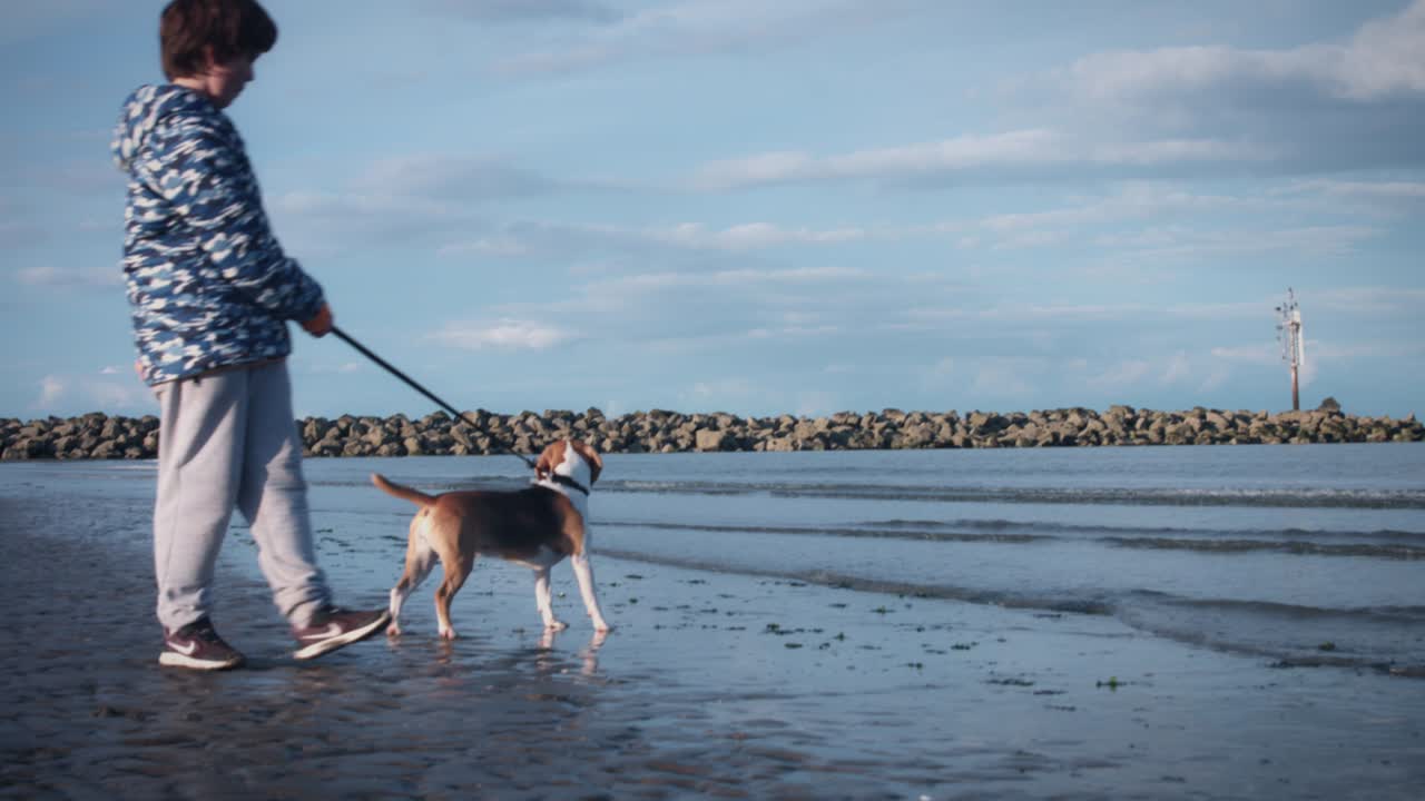 4k 야외 해변 어린이와 개가 물에서 고 있습니다.