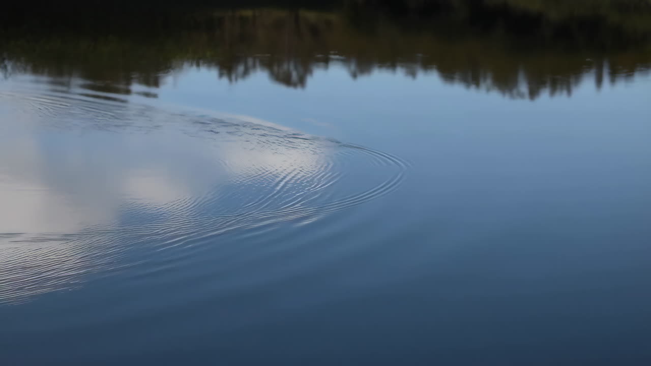 Water Surface with Subtle Ripples and Reflections
