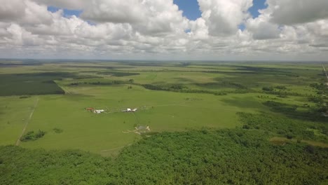 Luftaufnahme-Einer-Grünen-Savanne-Und-Einer-Baumgruppe-Mit-Schönen-Verstreuten-Wolken-Am-Himmel