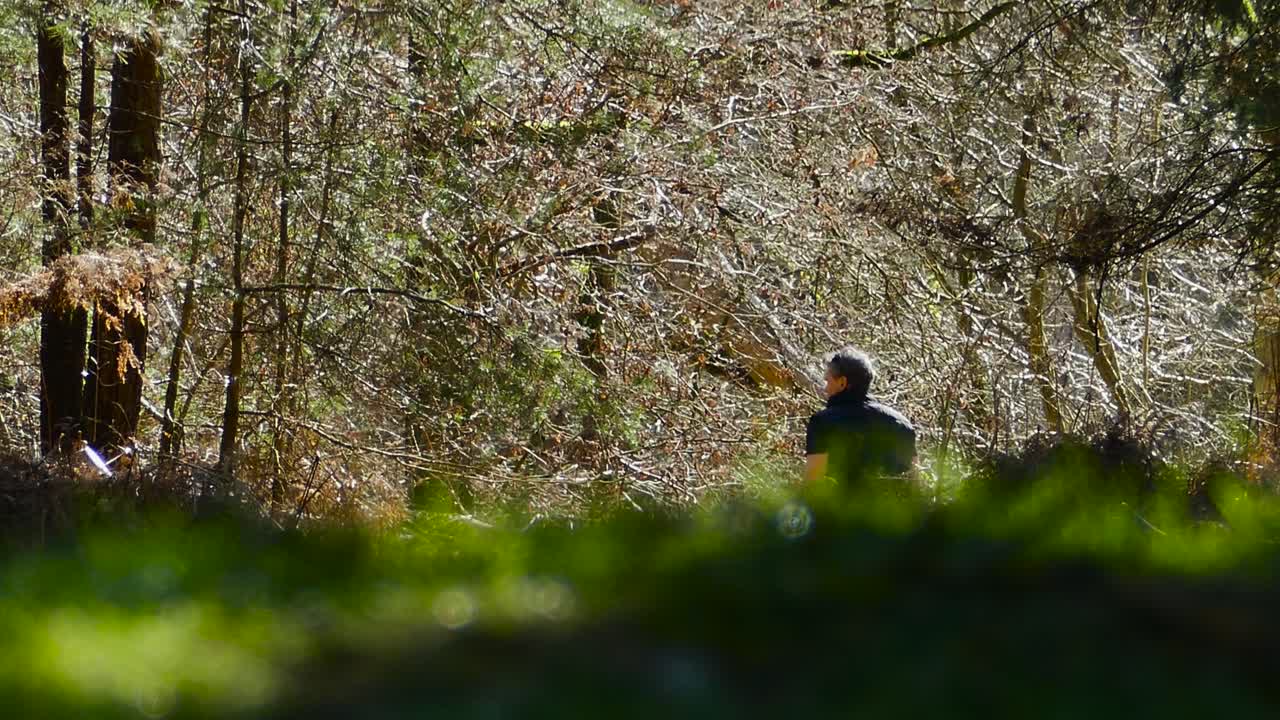 un hombre caminando por una parte densa de un bosque tranquilo en una mañana soleada