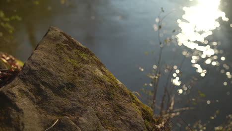 Großer-Stein-Am-Rand-Eines-Flusses,-Sees-Oder-Teichs,-An-Dem-Das-Wasser-Sanft-Vorbeifließt-Und-Die-Sonne-Auf-Dem-Wasser-Funkelt