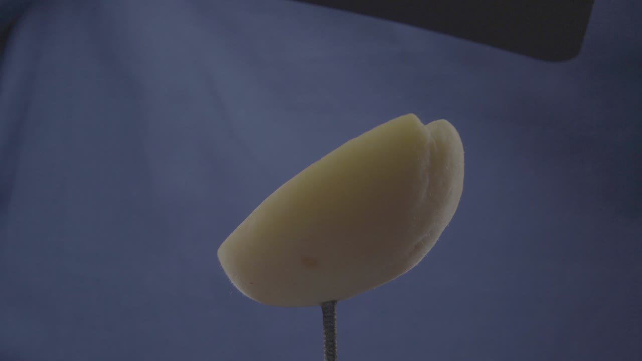 albaricoque girando con bucle en pantalla azul para la llave de croma