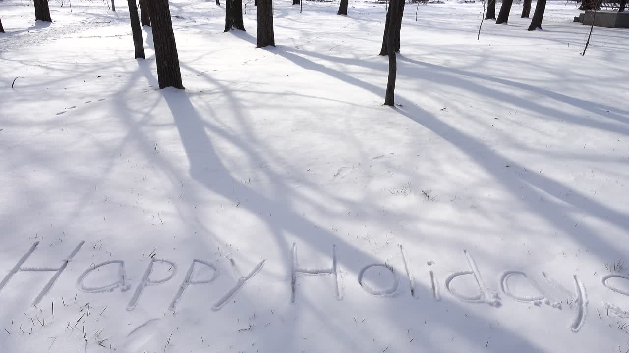Iscrizione di auguri di buone feste sulla neve