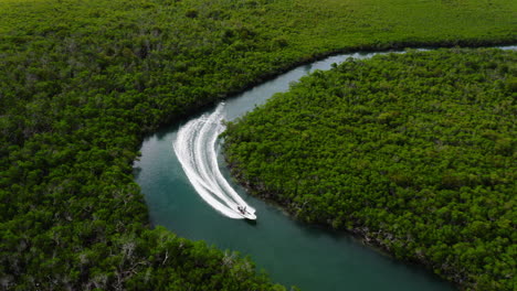 aerial view of people enjoying adventurous and adrenaline fast ride in motorboat through mangrove forest