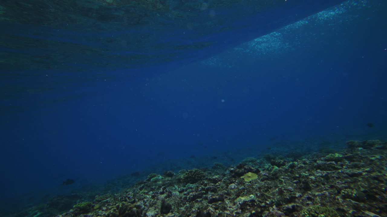 태양 광선은 바다 산호초를 가로질러 반이고, 물 어리들이 굴러가서 거품과 공기를 퍼뜨린다.