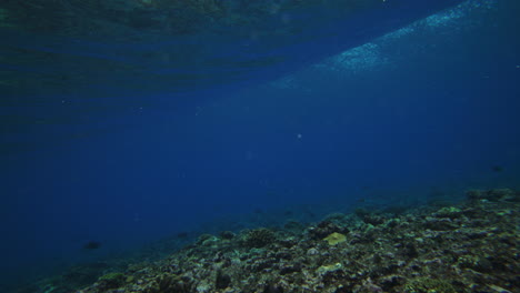 sun rays shimmer across ocean reef underwater as vortex rolls spreading foam and air