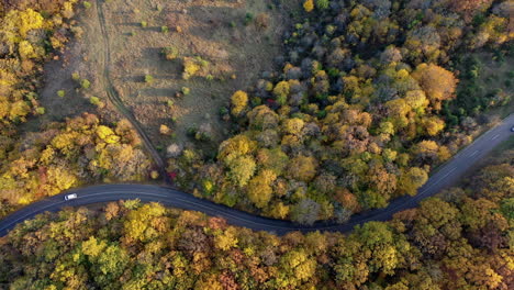 Vista-Superior-De-La-Carretera-Y-El-Bosque-De-Otoño-En-Hungría