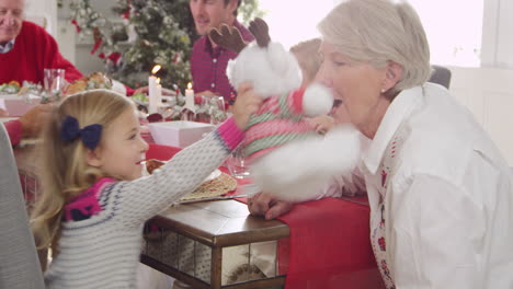 girl with grandmother enjoying christmas meal shot on r3d