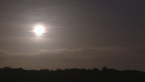 two birds pass frame during a beautiful beach sunrise - sunset.