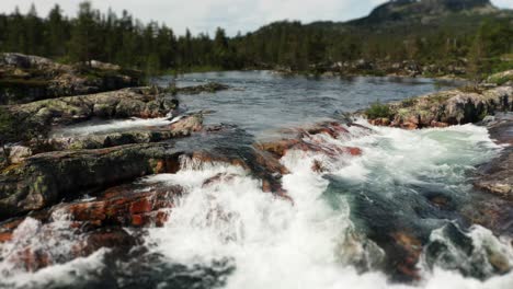 the camera is moving backwards above the wild river, revealing the surroundings