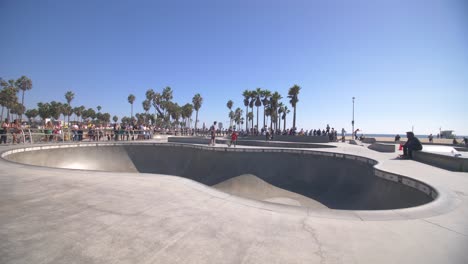 skate bowl in venice beach