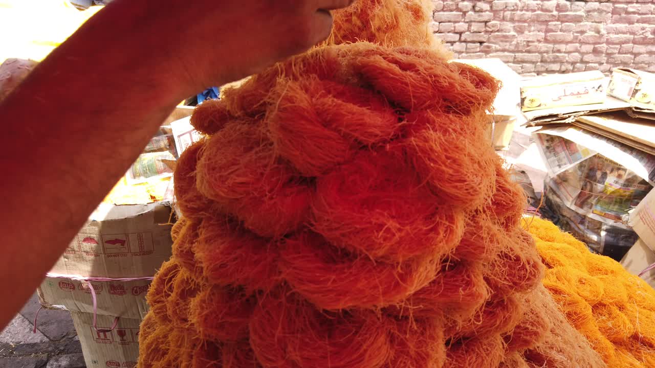 comida popular y famosa de la calle del subcontinente indio