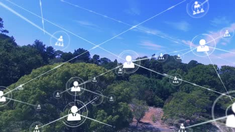 Animation-of-network-of-profile-icons-over-aerial-view-of-forest-against-blue-sky