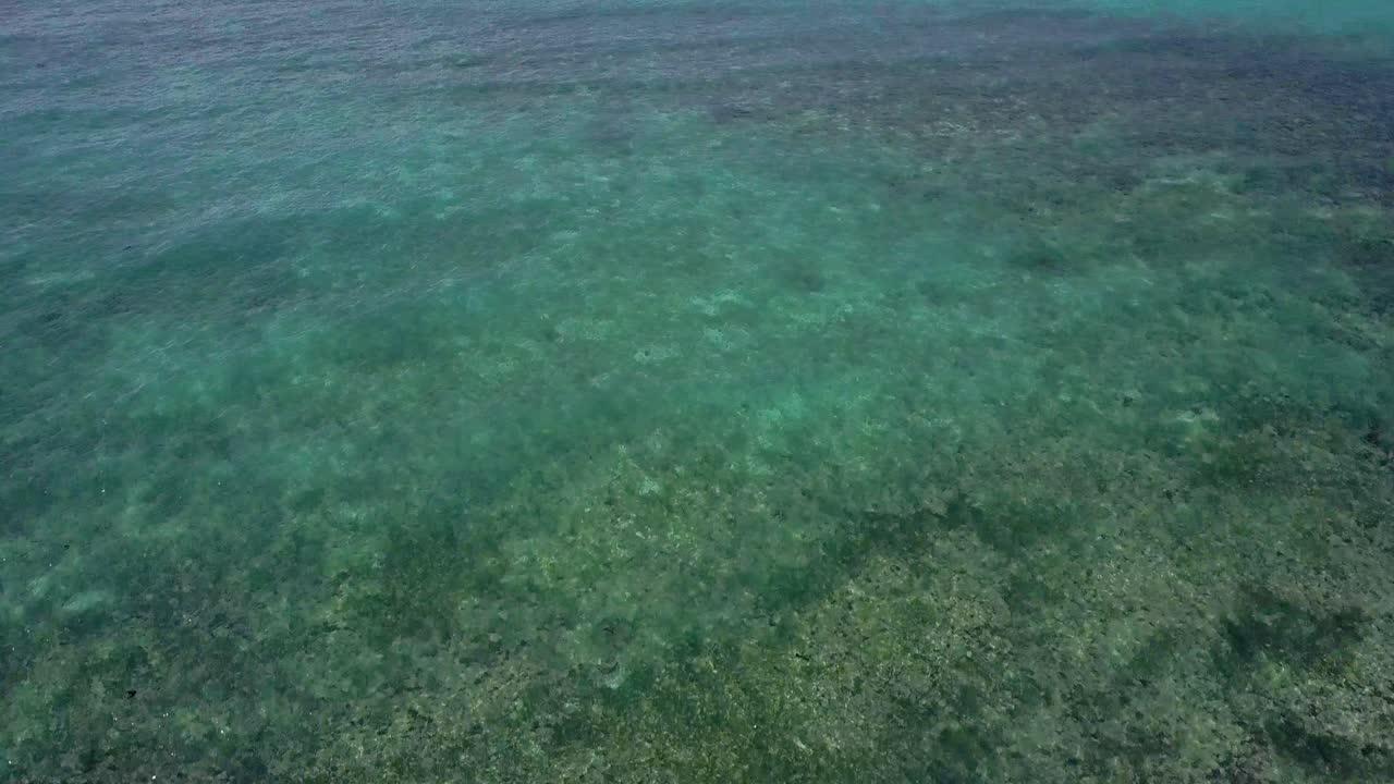 산호초가 있는 맑은 녹색 바다에서 필리핀의 푸른 바다가 있는 지평선까지 기울어지는 공중 전망