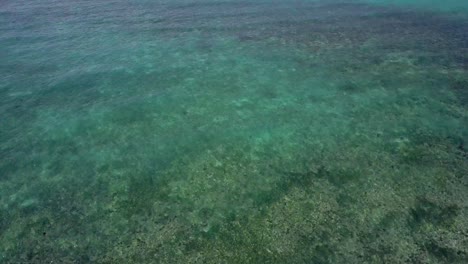 Vista-Aérea-Inclinándose-Desde-Aguas-Verdes-Claras-Con-Arrecifes-De-Coral-Hasta-El-Horizonte-Con-Aguas-Azules-En-Filipinas