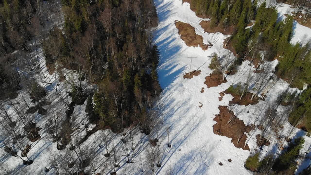 Ripresa aerea con tilt che riprende una splendida foresta e rivela una valle pittoresca.