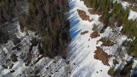 inclinación aérea que captura un hermoso bosque y revela un pintoresco valle