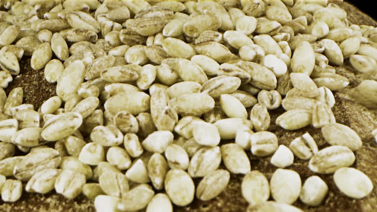 곡물과 함께  의 가까운