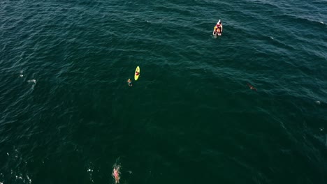 group of open sea swimmer on caribbean sea in summer