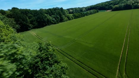 disparo de dron fpv: vuelo entre árboles y estilo libre