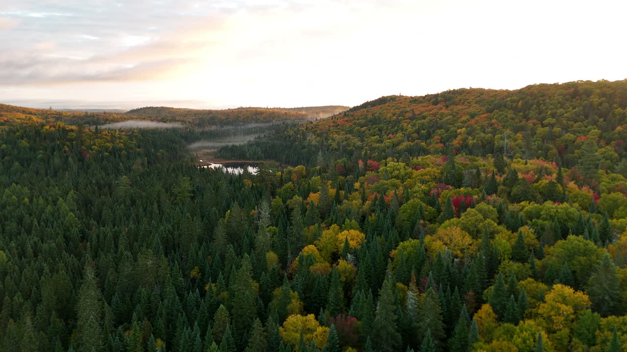 Drone view of a colorful autumn forest with mountains, lake, and river at sunrise in Mauricie, Quebec, Canada. Warm morning light highlights vibrant fall foliage and peaceful landscape