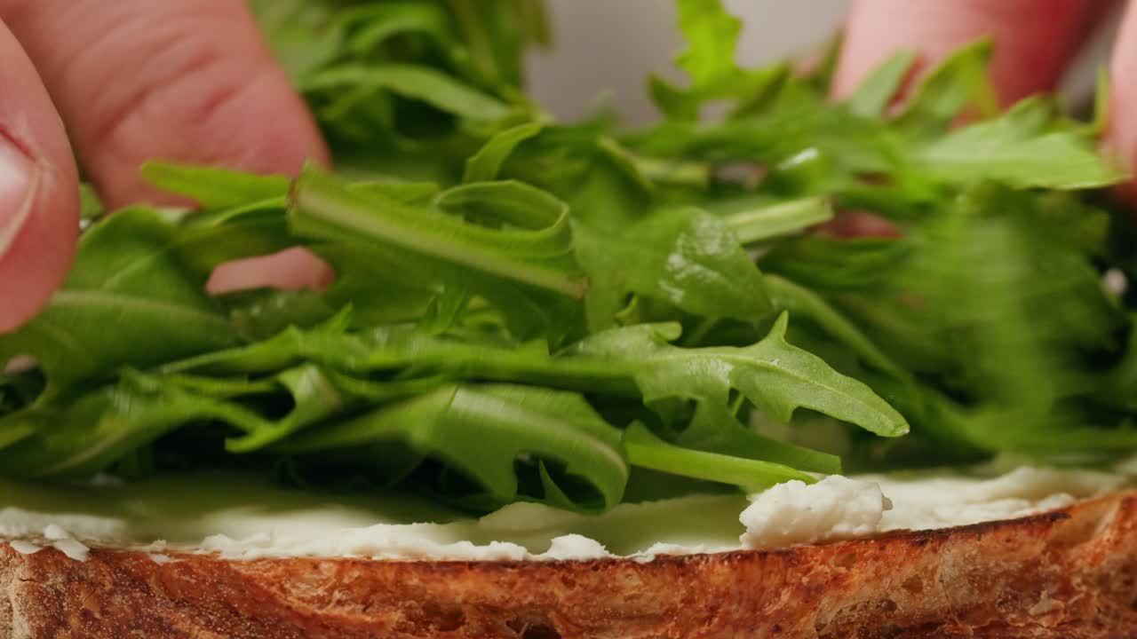 Making a delicious sandwich with cream cheese and arugula