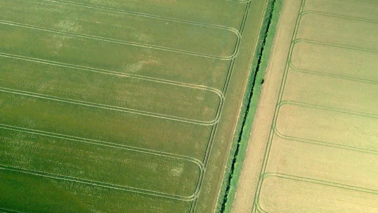 vista aérea de arriba hacia abajo de campos de cultivo de trigo amarillo y verde en tierras agrícolas