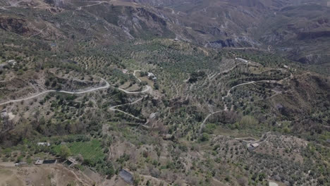 Sierra-Nevada-mountain-range---orchards-with-drone-shot-in-4k