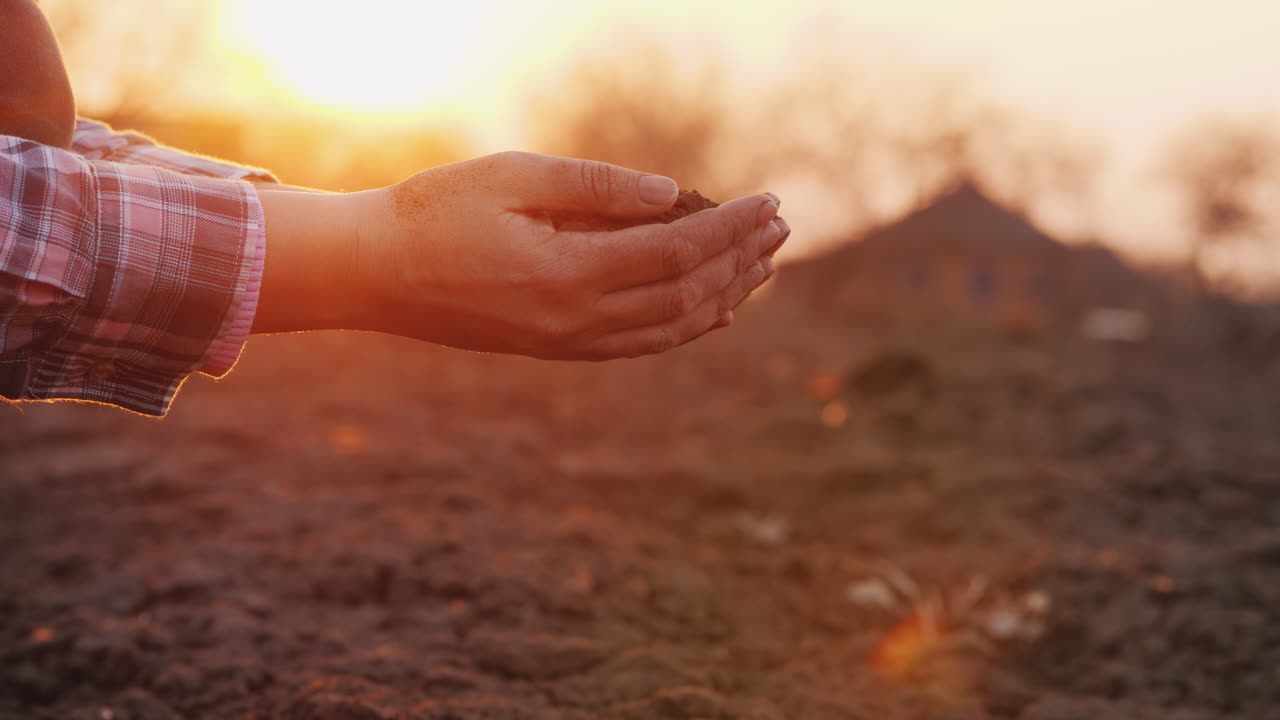 manos de agricultores con el concepto de agricultura orgánica de suelo negro