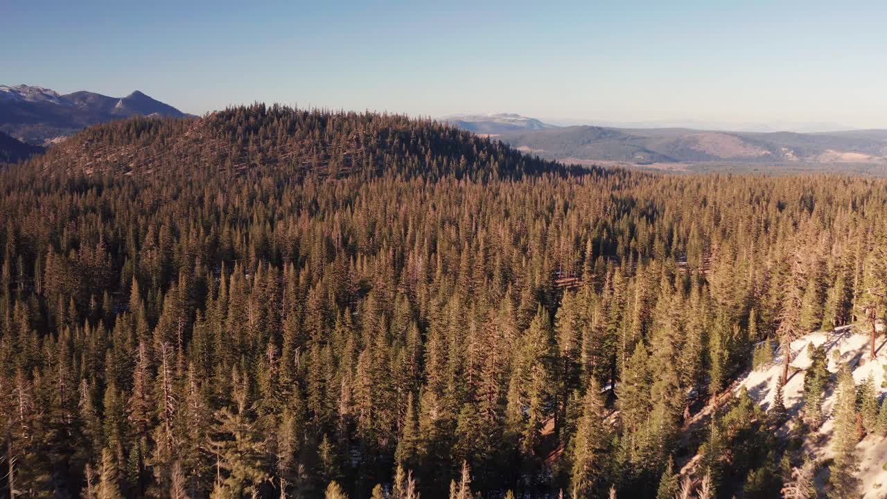 drone aéreo vuela a través de árboles en el bosque con montañas en lagos gigantescos california usa