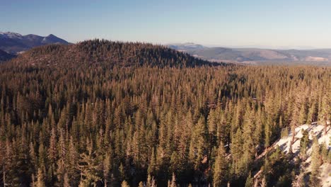 Luftdrohne-Fliegt-Durch-Bäume-Im-Wald-Mit-Bergen-In-Mammutseen-Kalifornien-USA