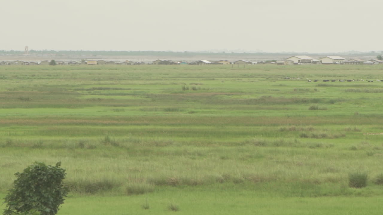 베닌 아프리카 의 농지 와 가축