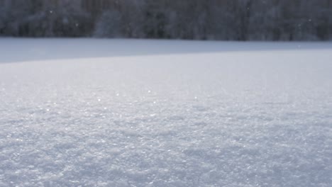 雪花在雪地上落下,拍攝速度極慢