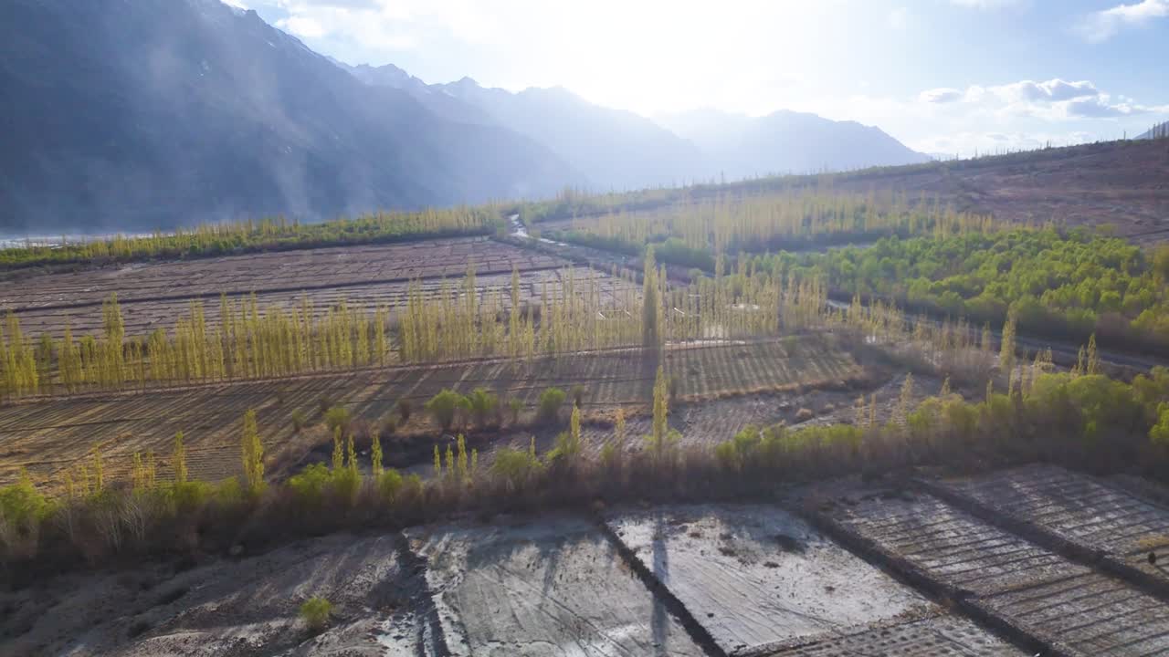 Aerial drone shot of a lush green valley in Ladakh, with trees lining the river and mountains beyond.