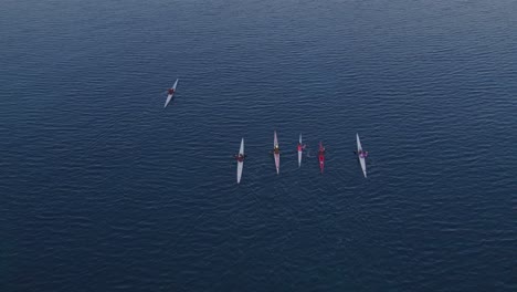 top down view of people rowing in kayak at calm ocean during sunset, aerial