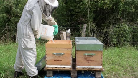 a beekeeper collecting honey and beeswax from a hobby beehive