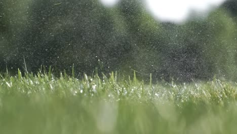 Golf-club-hits-a-golf-ball-in-a-super-slow-motion.-Drops-of-morning-dew-and-grass-particles-rise-into-the-air-after-the-impact.