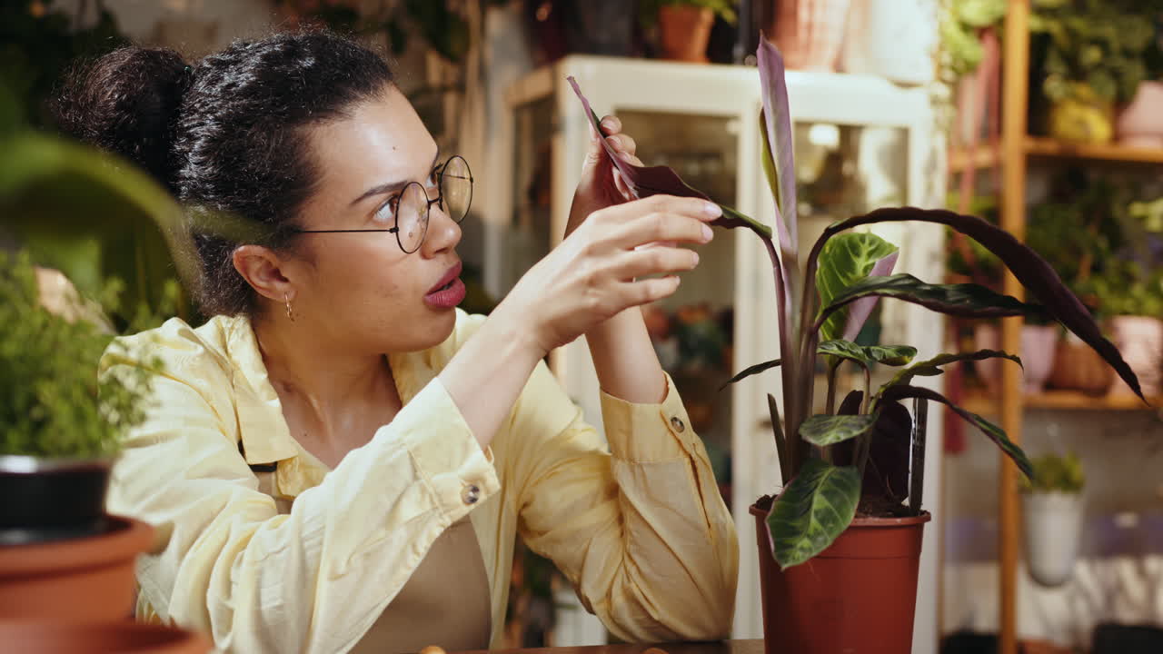 식물 의 잎 을 점검 하는 여자