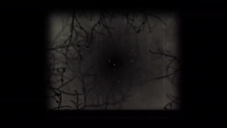 animation of interference over branches on black background
