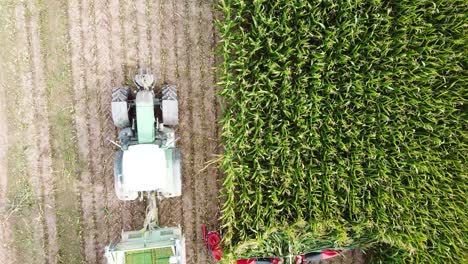 Topshot-of-a-harvesting-machine-in-cornfield