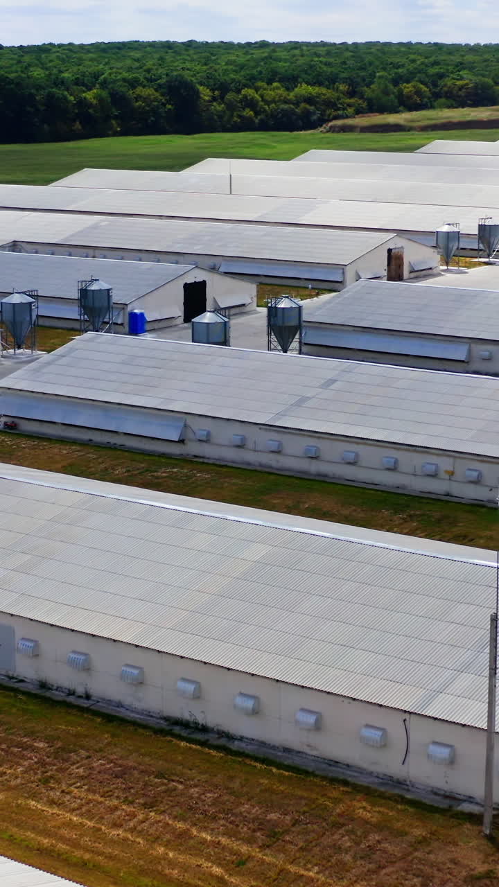 White buildings for agribusiness on green forest background. Modern farmhouses for livestock. Large territory of a new farm among nature. Vertical video