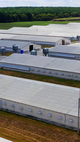 white buildings for agribusiness on green forest background. modern farmhouses for livestock. large territory of a new farm among nature. vertical video