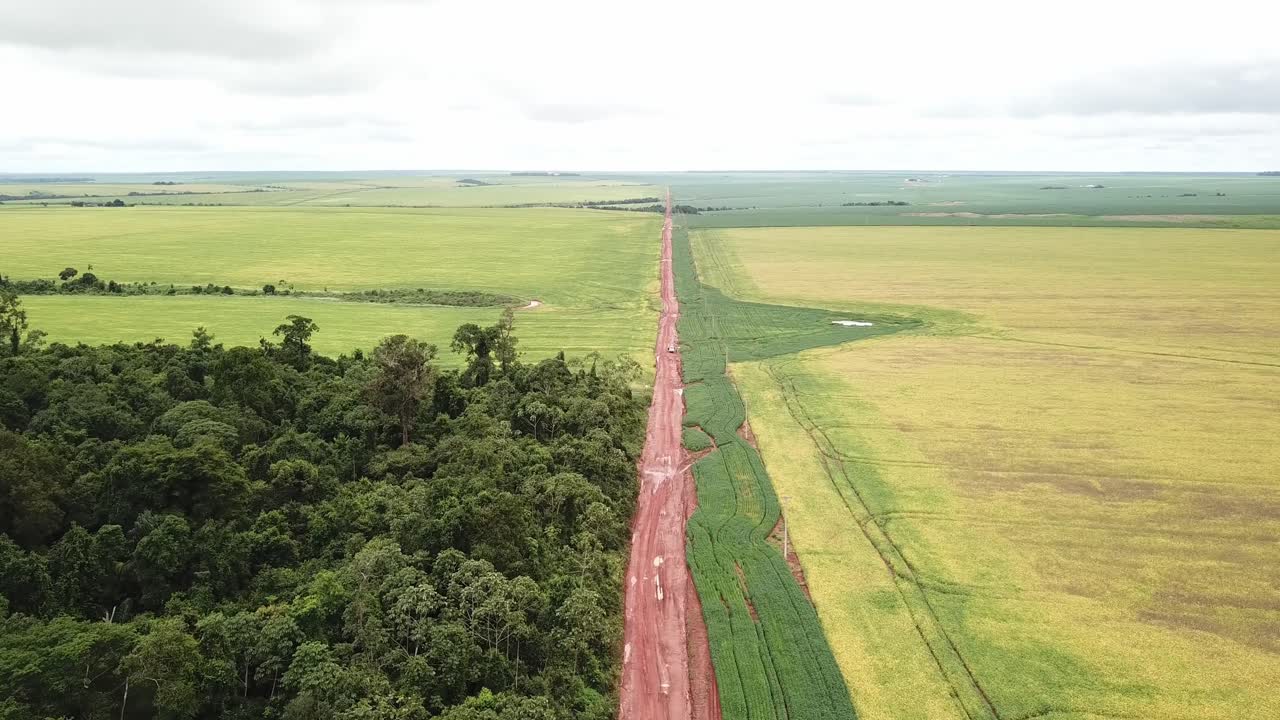 Immagine aerea che mostra una strada che divide un campo di soia e la foresta pluviale.
