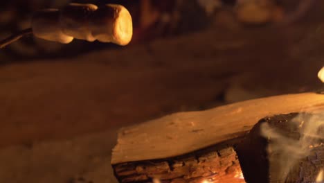 malvavisco dulce a la parrilla en el fuego de leña al aire libre